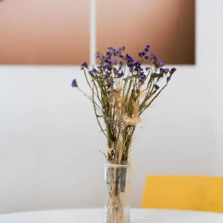 Apartman Just Here - Nina Bari